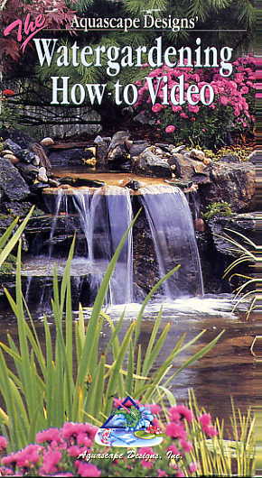 Clearance - Aquascape Designs "Watergardening How-to Video THUMBNAIL