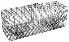 Multiple Catch Animal Trap with Extra Large Holding Area - Small Rodent Size (24" x 8" x 8") MAIN