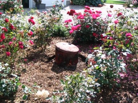 Propane tank before