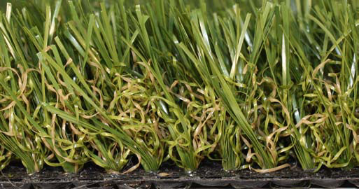 15' Wide Putting Green Golf Fringe & Synthetic Lawn Turf - 1 1/2" Bluegrass Style (941) THUMBNAIL