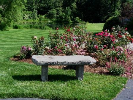 Bench at Teds