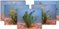 Complete Pond Plant Package #1 for Ponds & Water Gardens up to 6' x 8' SWATCH