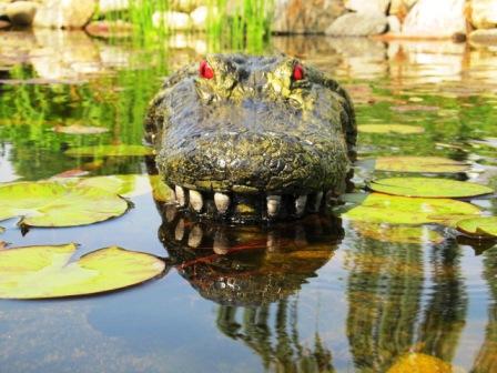 28.5" Alligator Head Decoy Pond Float with Reflective Eyes for Canada Geese & Blue Heron Control THUMBNAIL