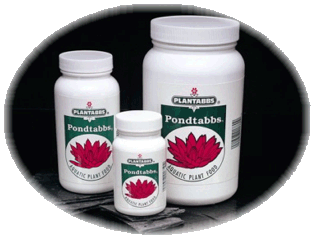 PondTabbs - Aquatic Slow Release Plant Food 10-14-8 for Water Garden & Pond Plants THUMBNAIL