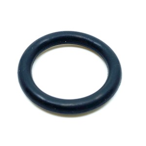 Viton O-Ring for Spectro Blue & ARCOS II Demountable Torch [23-1020] LARGE
