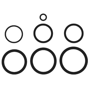 O-ring Kit for PerkinElmer 2x00/4x00/5x00/7x00 DV [23-3004] MAIN