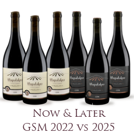 GSM- drink NOW & drink LATER! MAIN