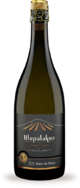 2020 Blanc de Blanc MAIN