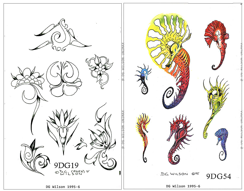 DG-Color-A04.6 MAIN