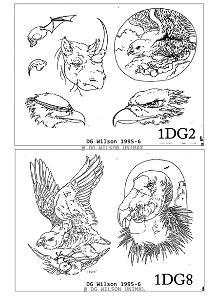 DG-M01 11x8.5 Flash Sheets MAIN