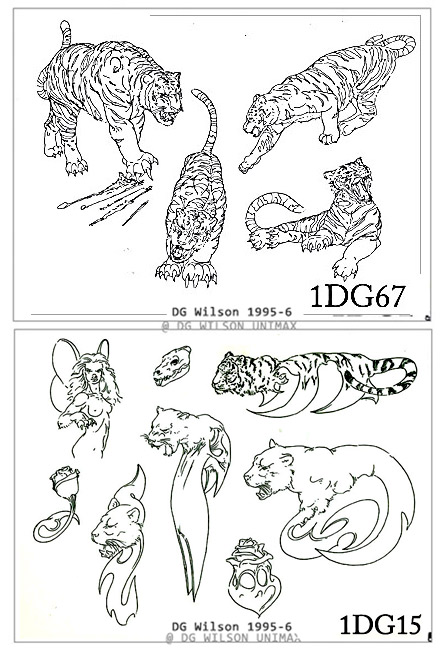 DG-M02 11x8.5 Flash Sheets MAIN