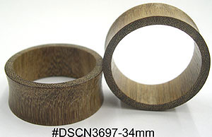 w34mm DSCN3697 Wood Ear Tunnel Pair MAIN