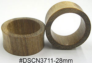 w28mm DSCN3711 Wood Tunnel Pair MAIN