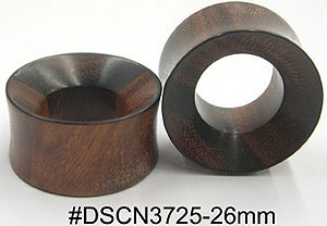 w26mm DSCN3725 Wood Tunnel Pair MAIN