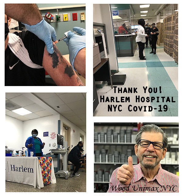Harlem Hospital MAIN