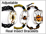 Insect Bracelet Jewelry #FAB40-- THUMBNAIL