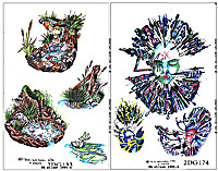 DG-Color-A01.3 THUMBNAIL