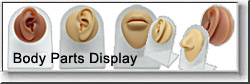 Body Part Displays