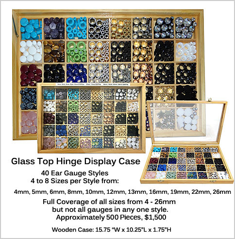 Ear Gauge Display #DSP250 MAIN