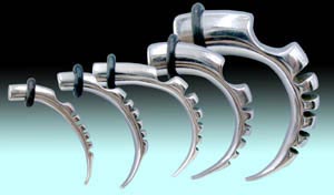 EAR0381 Claw, Tribal Cuts MAIN