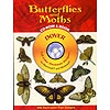 KINS1221, Butterflies and Moths THUMBNAIL