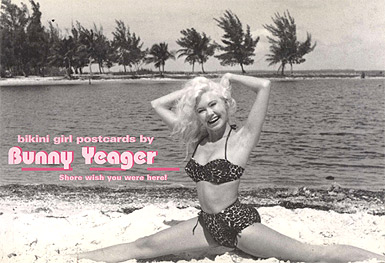 KP1219 Bikini Girl Postcards MAIN