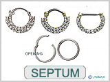 NOS238 Septum Clicker THUMBNAIL