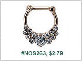 #NOS263 16G 3/16 Petite Septum Nose Clickers THUMBNAIL