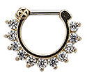 #NOS285 Gold plated Ring of Gems MAIN