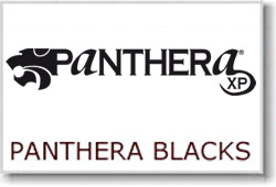 Panthera Inks