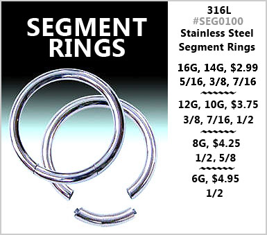 SEG0100 Segment Rings MAIN