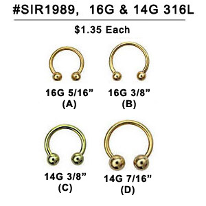 SIR1989 Gold Plated Circular Barbells MAIN