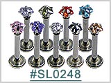 SL0248, 4-Prong Star Shape Gem Labret THUMBNAIL