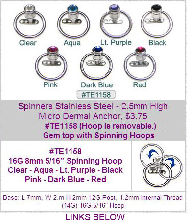 TE1158,TE1159, Gem Dermal Spinning Hoop MAIN