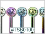 TSB0100 TSB0400 Titanium Colored Barbells THUMBNAIL