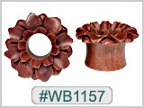 WB1157 Blood Wood Mountain Flower THUMBNAIL