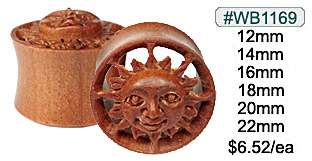 WB1169, Carved Sun Tunnel MAIN
