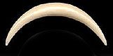 WB2022 Ear or Nose Bone Crescent THUMBNAIL
