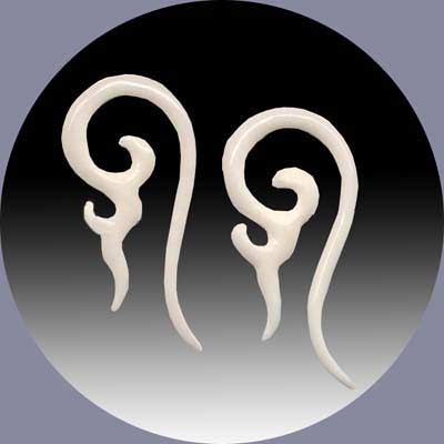 WB2029 Bone Design MAIN