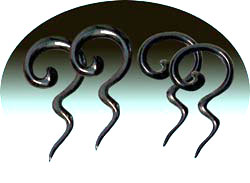 WB2041 Horn Spiral Pairs MAIN