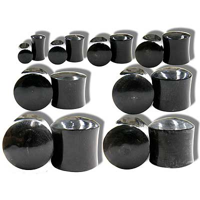 WB3612 Horn Plugs MAIN