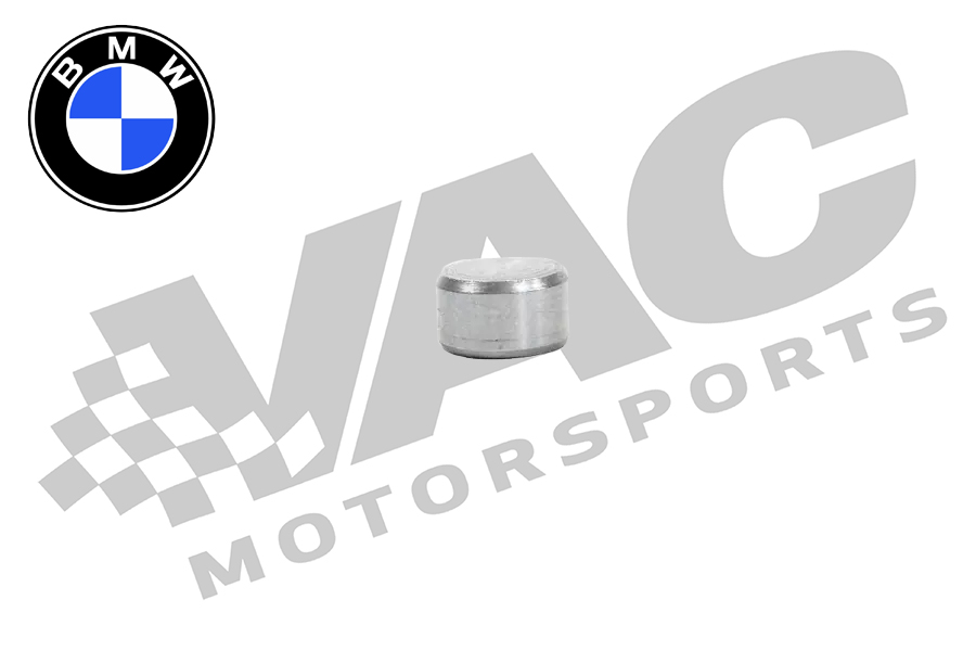 Genuine BMW Oil Galley Plug, BMW S50B30/S50B32/S54 SWATCH