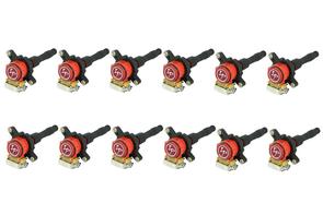 IP Ignition Coil Set,  BMW M73 MAIN