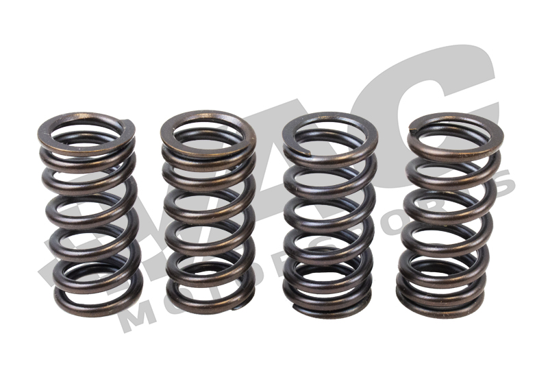 Schrick High Performance Valve Spring Kit, BMW S85 SWATCH