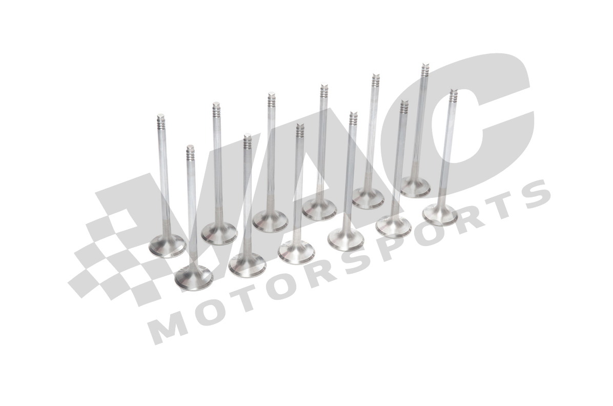 VAC Motorsports High Performance Valve Kit,  BMW M30 THUMBNAIL