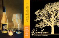 Bottle of 2021 Vino Fizzante sparkling wine from Ventosa Vineyards – Finger Lakes, NY MAIN