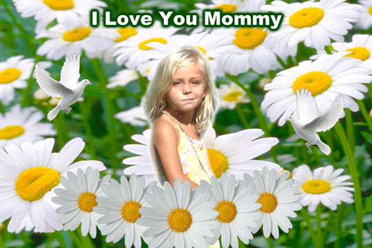 Daisy 3D Background and Foreground THUMBNAIL