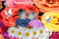 Flowers 3D Background and Foreground MAIN