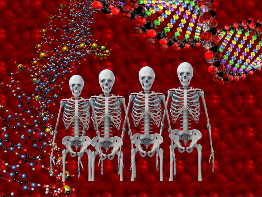 Skeletons Flip Background and Foreground THUMBNAIL