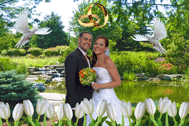 Wedding 3D Background and Foreground MAIN